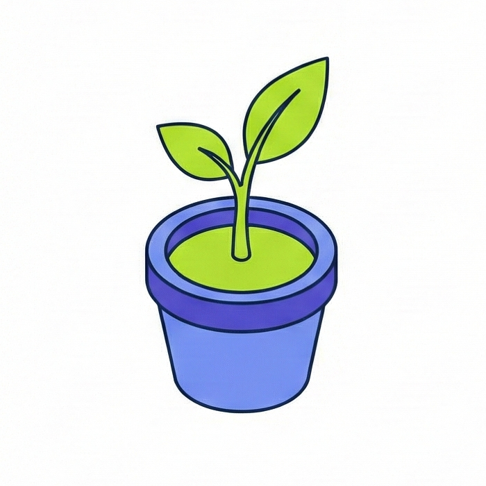 Small Cap